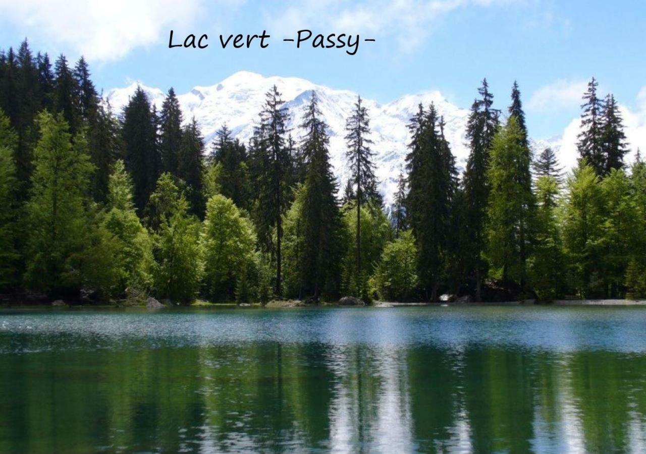 Appartement T2+Cabine Independante Au Depart Des Telecabines Saint-Gervais/Bettex/Mont D'Arbois Εξωτερικό φωτογραφία